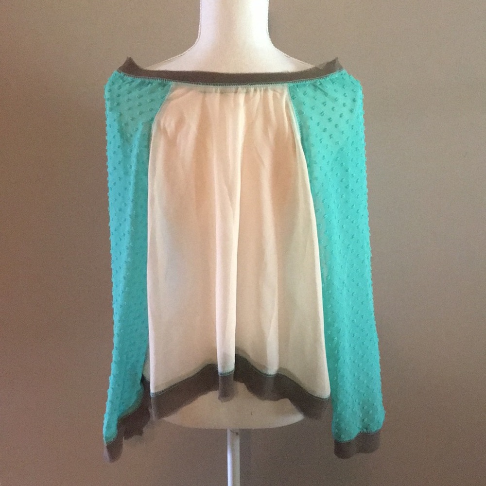 Doe & Rae Sheer Top with Dolman Swiss Dot Sleeves - Picture 3 of 8